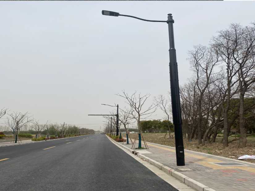 衢州市上海综合杆 太阳能路灯工程